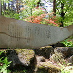 ホワイトテラス - 2015' May