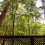 ホワイトテラス - 2015' テラス席に映える森の緑