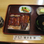 寿司・うなぎ 羽子吾 - うな重