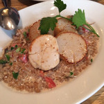 CICADA - ホタテローストリゾット