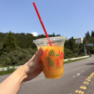 ともえまる食堂_1