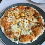 VOLPE - 
