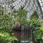 夢の島カフェ - 