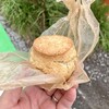 Komorebi SCONE