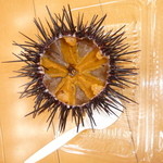 あけみちゃん号 - うにパック