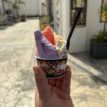 やんばるジェラート - 料理写真: