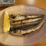 そば切り　壱六庵 - 