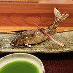 日本料理 太月 - 長良川の鮎の塩焼き