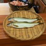 日本料理 太月 - 長良川の鮎
