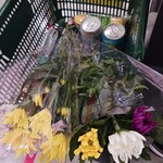 フレッセイ - ドリンク写真: