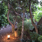 山ばな平八茶屋 - 