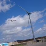 麺饗 松韻 - ウミネコと巨大風車