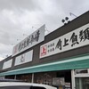 角上魚類 - 