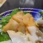 角上魚類 - 