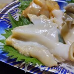 角上魚類 - 