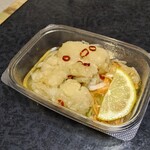 角上魚類 - 