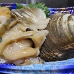 角上魚類 - 