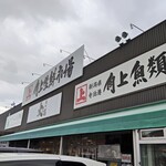 角上魚類 - 