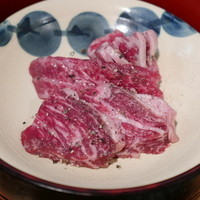 鴨川たかし - 