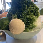 木下茶園 - 