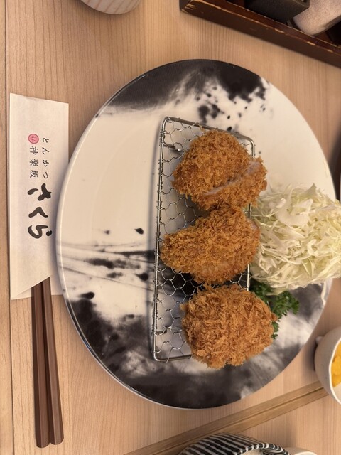 Tonkatsu Kagurazaka Sakura Gotanda ten - Gotanda/Tonkatsu (Pork