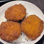 個室居酒屋 焼き鳥と炉端焼き うち田 - タレかつ丼