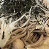 肉蕎麦 なり田