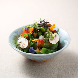 ヤナカ スギウラ_1