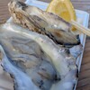BAY OYSTER - 