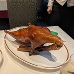 筑紫樓 - 