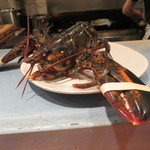 Ata - オマール海老