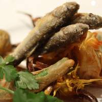 デルフィーナ - 春の旬魚　稚鮎と山菜のそば粉のフリットミスト　レモン添え