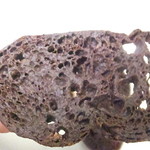 ショコラティエ マサール - ショコララスク　１１８８円　スイートのアップ　【　２０１５年４月　】