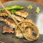 魚のタナ - 