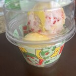 イオン - 料理写真:草タイプのカップ ニャオハとチコリータ