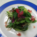 トゥールダルジャン - 新芽を摘んだ季節のサラダ