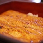 入谷鬼子母神門前のだや - 共水うなぎ重