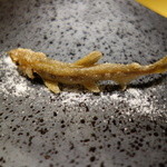 レストラン バカール - 清流の中の稚あゆ（1匹380円）