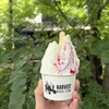 ハーベスト ナガイファーム - 