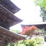 居酒屋 楽歳 - 法華山一条寺