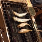 磯丸水産 - 魚網焼き