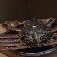 松川 - これからお料理されるズワイ蟹(^_^)