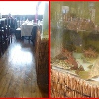 施家菜 - 店内には大きな水槽が・・沢山の魚介が・・