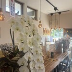 日光天 - 店内は和洋折衷のデザインカウンター