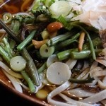 秘伝越前流手うちそば 池田のそば すいこう - 山菜そば
