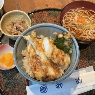 初駒_0