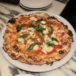 SAVOY - 