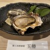 玉椿