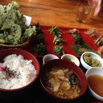 仙人小屋 - 山菜定食