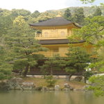 金閣寺不動釜茶所 - 太陽に照らされた金閣寺